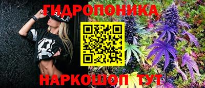 хмурый Берёзовский