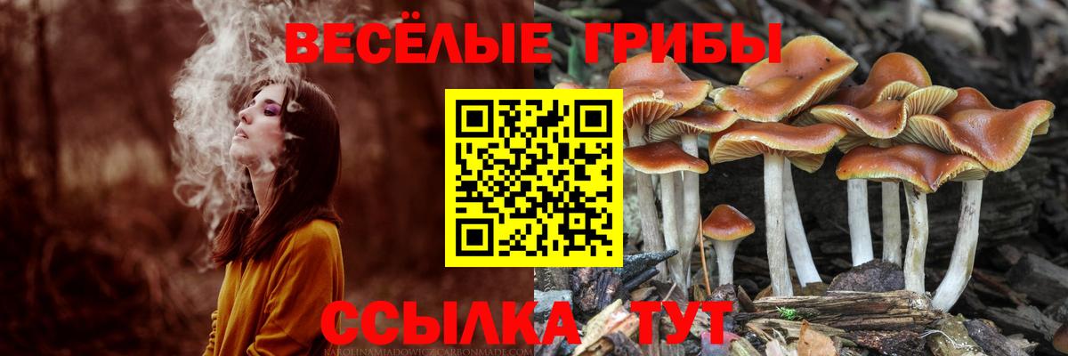 Псилоцибиновые грибы мухоморы  купить   Псилоцибиновые грибы Magic Shrooms  Бугульма  Вход с VPN 